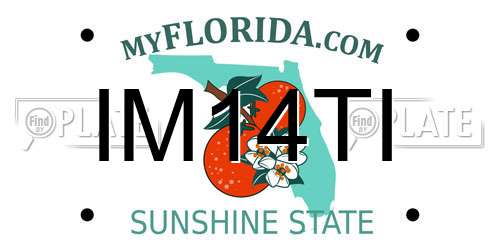 IM14TI Florida License Plate