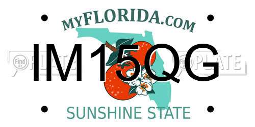 IM15QG Florida License Plate