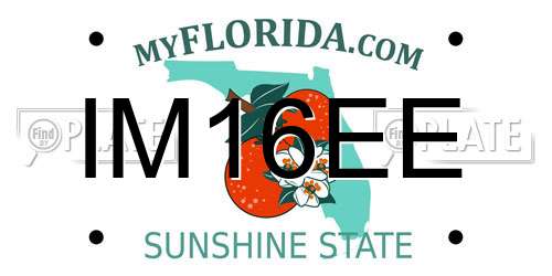 IM16EE Florida License Plate