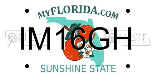 IM16GH Florida License Plate
