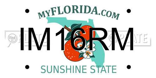 IM16RM Florida License Plate