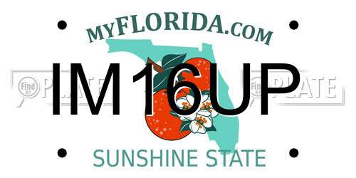 IM16UP Florida License Plate