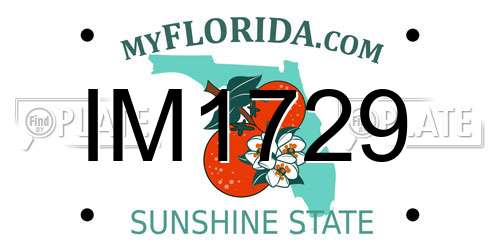 IM1729 Florida License Plate