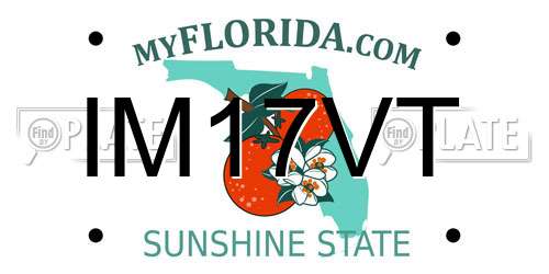 IM17VT Florida License Plate
