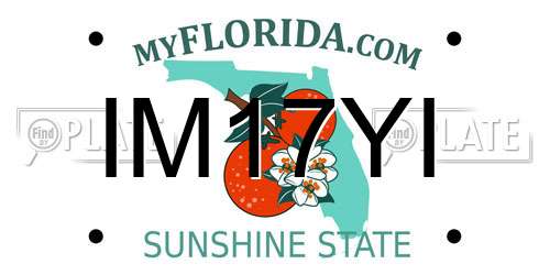 IM17YI Florida License Plate