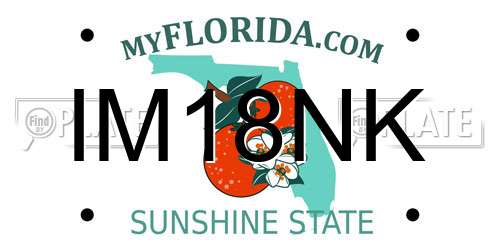 IM18NK Florida License Plate
