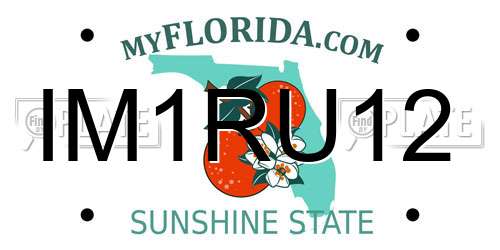 IM1RU12 Florida License Plate
