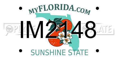 IM2148 Florida License Plate