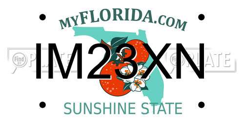 IM23XN Florida License Plate