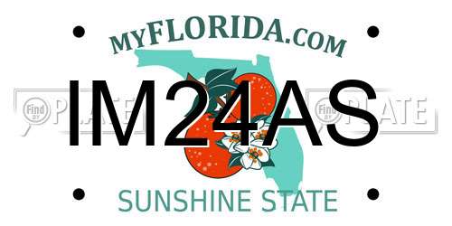 IM24AS Florida License Plate