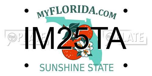 IM25TA Florida License Plate