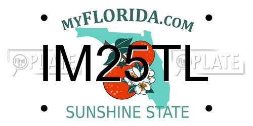 IM25TL Florida License Plate