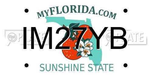 IM27YB Florida License Plate