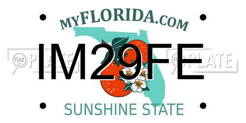 IM29FE Florida License Plate