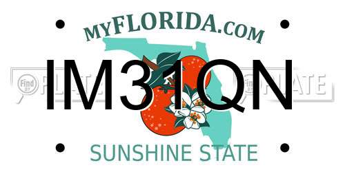 IM31QN Florida License Plate