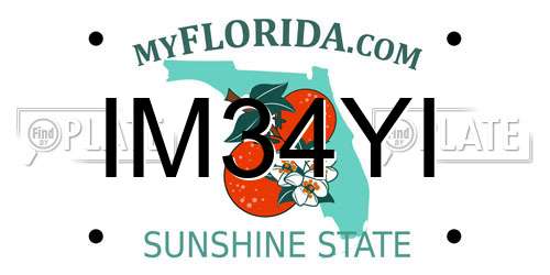 IM34YI Florida License Plate