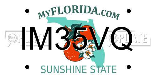IM35VQ Florida License Plate