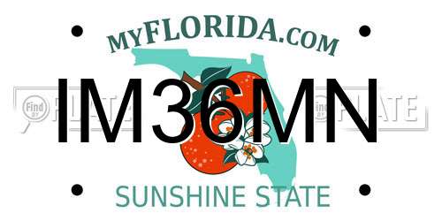 IM36MN Florida License Plate