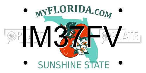 IM37FV Florida License Plate