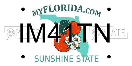 IM41TN Florida License Plate