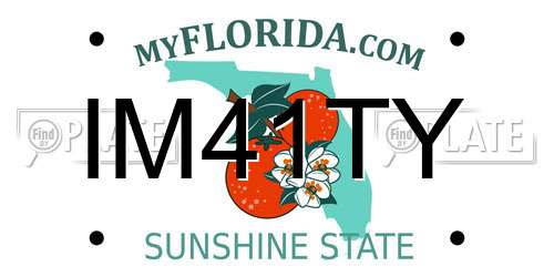 IM41TY Florida License Plate