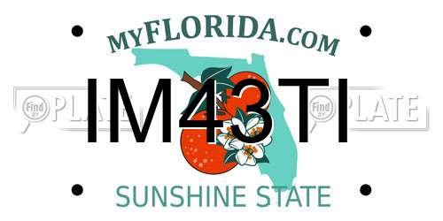IM43TI Florida License Plate