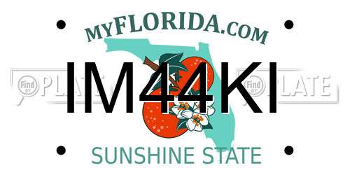 IM44KI Florida License Plate