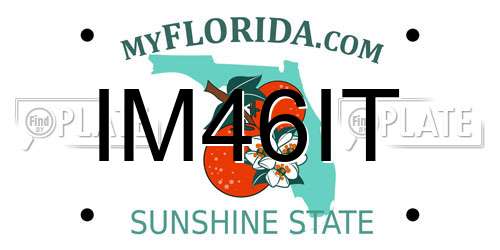 IM46IT Florida License Plate