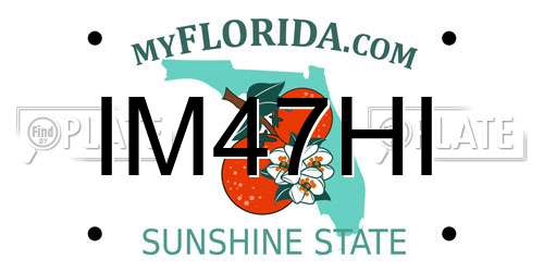 IM47HI Florida License Plate