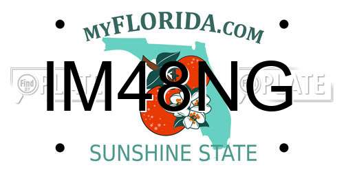 IM48NG Florida License Plate