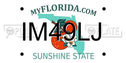 IM49LJ Florida License Plate