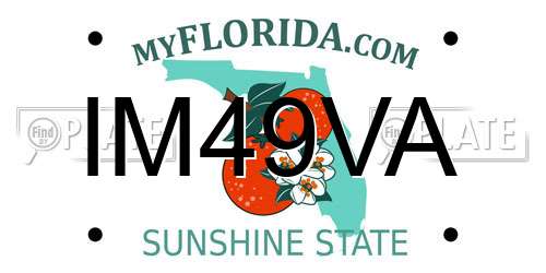 IM49VA Florida License Plate