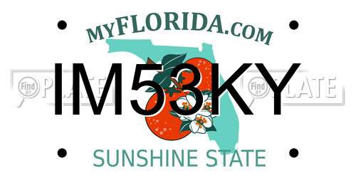 IM53KY Florida License Plate