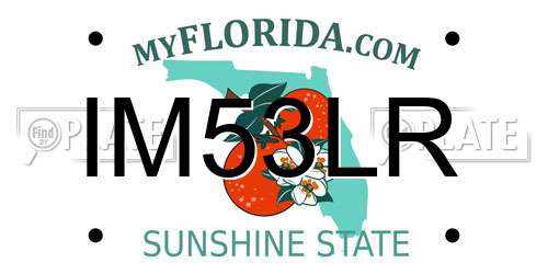 IM53LR Florida License Plate