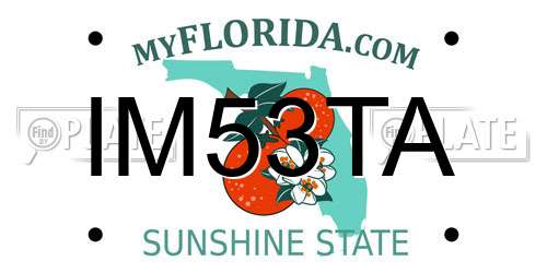 IM53TA Florida License Plate
