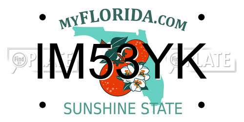 IM53YK Florida License Plate