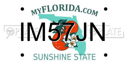 IM57JN Florida License Plate