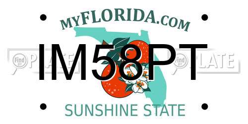IM58PT Florida License Plate