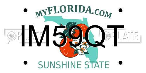 IM59QT Florida License Plate