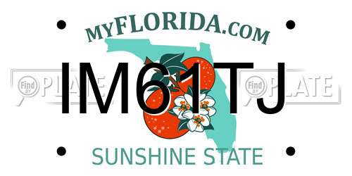 IM61TJ Florida License Plate