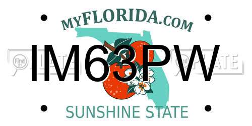 IM63PW Florida License Plate