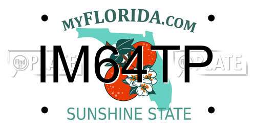 IM64TP Florida License Plate
