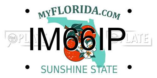 IM66IP Florida License Plate