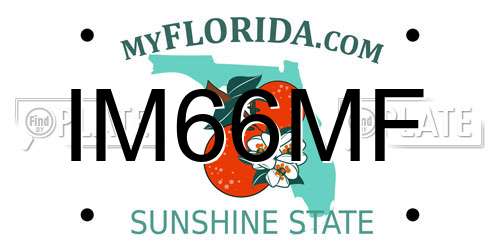 IM66MF Florida License Plate