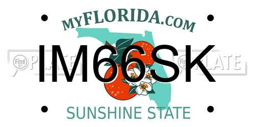 IM66SK Florida License Plate