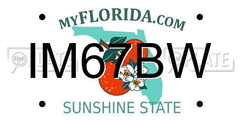IM67BW Florida License Plate