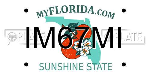 IM67MI Florida License Plate