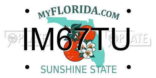 IM67TU Florida License Plate