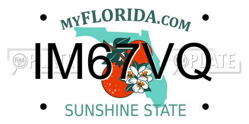 IM67VQ Florida License Plate