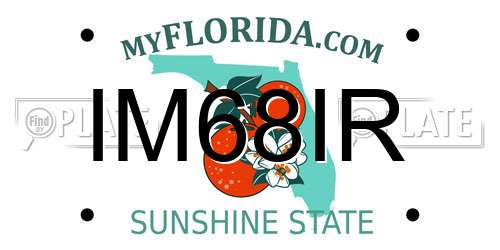 IM68IR Florida License Plate